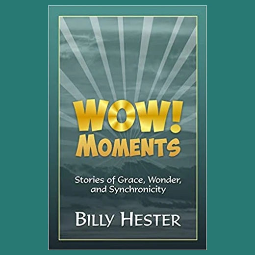 WOW! Moments: Stories of Grace, Wonder, and Synchronicity - by Rev. Billy Hester