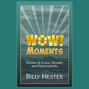 WOW! Moments: Stories of Grace, Wonder, and Synchronicity - by Rev. Billy Hester